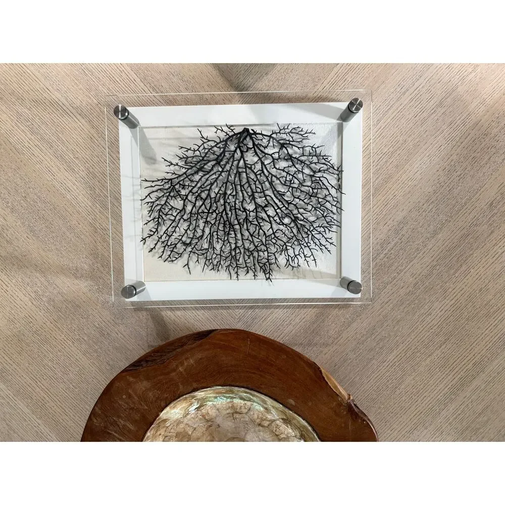 Pottery Barn Coastal Black Fan Shadow Box Wall Art White Floating Glass Frame
